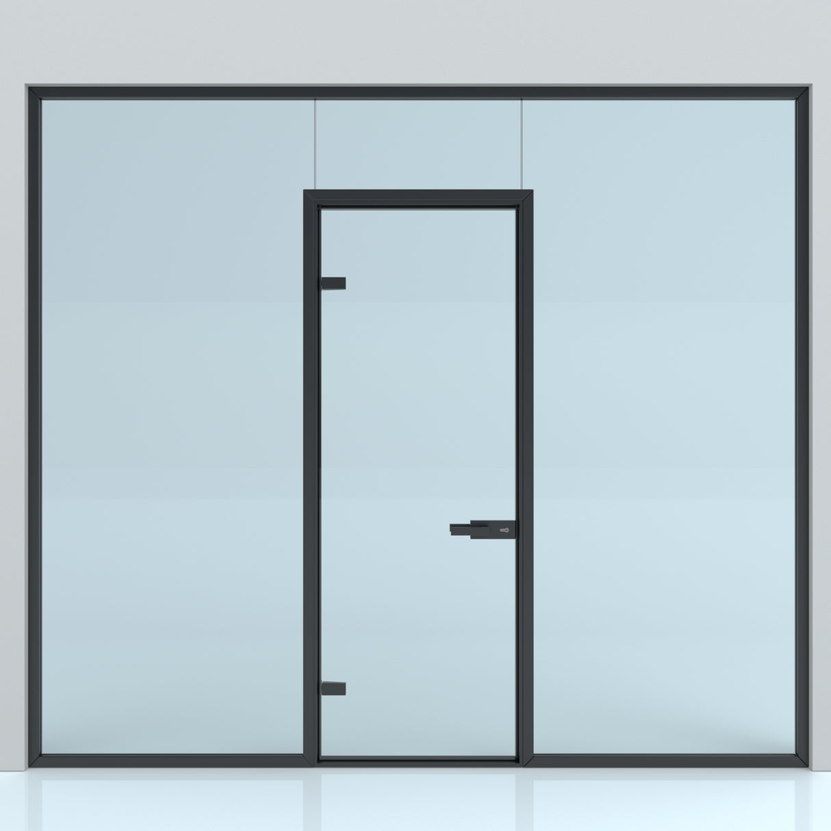 Perete din sticlă cu ușă pe toc