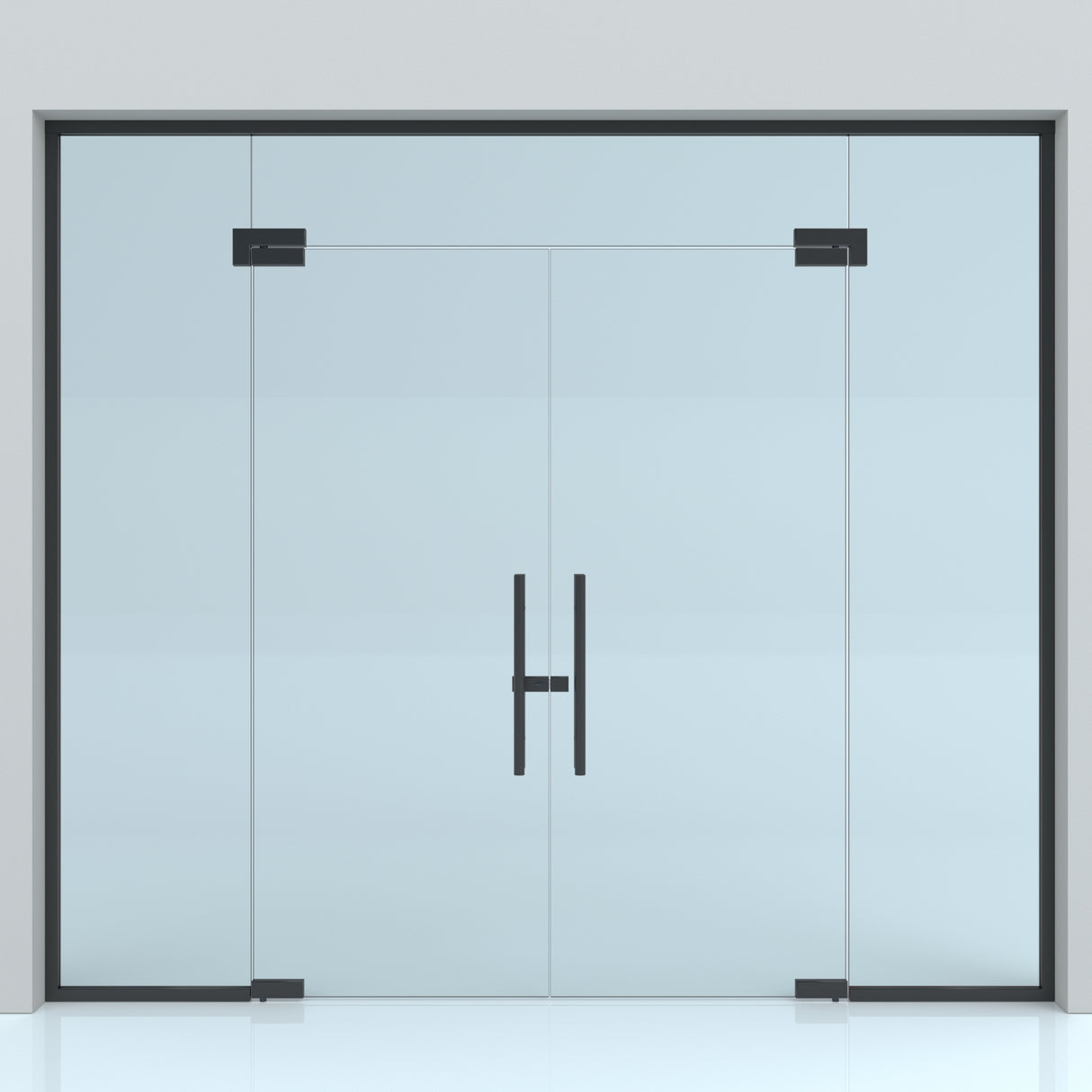 perete din sticlă cu usa batanta